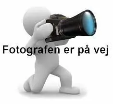 Sognemusiker Sanne